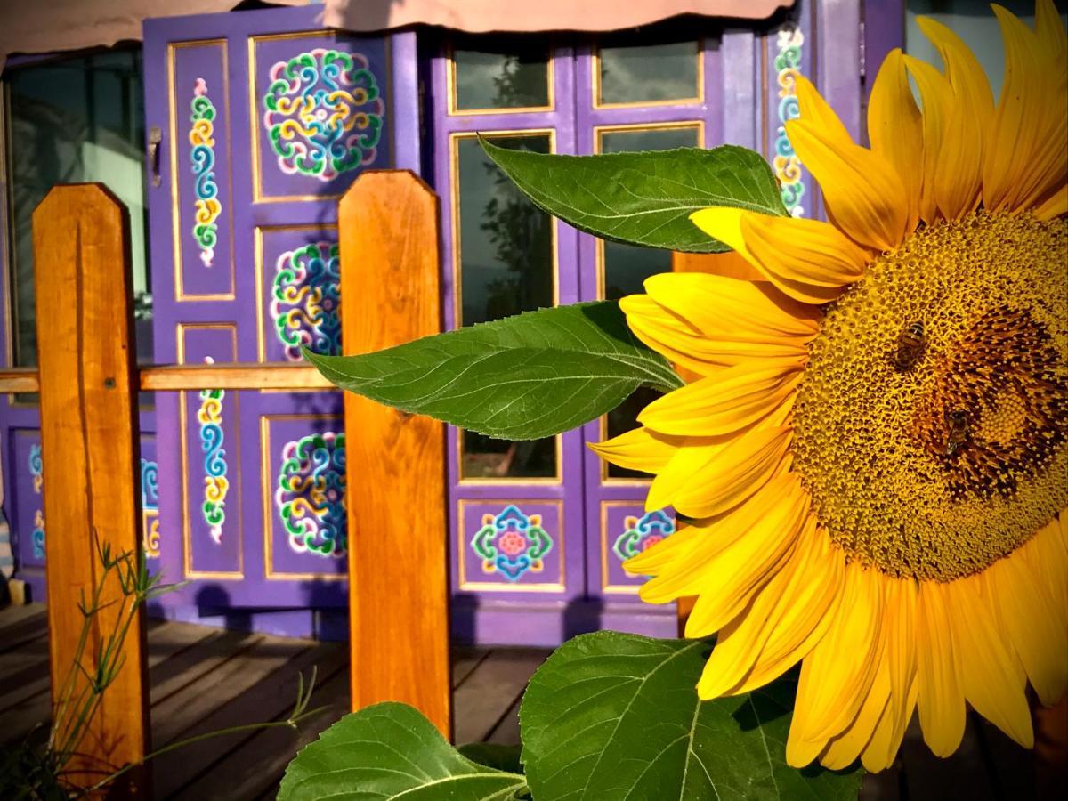 Exclusive Nirvana Yurts Glamping Káto Drys Extérieur photo