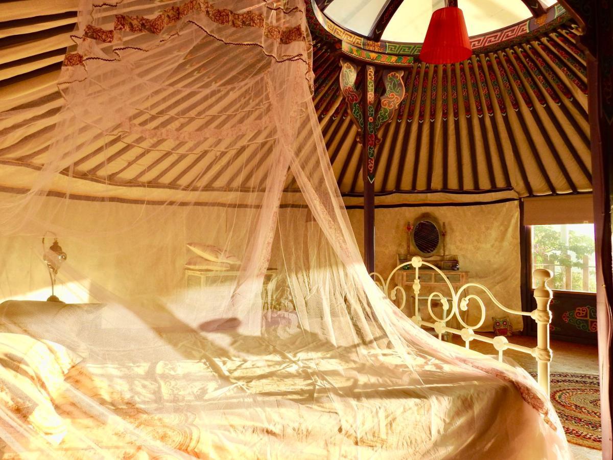 Exclusive Nirvana Yurts Glamping Káto Drys Extérieur photo
